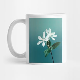 White Jasmine Blossom Art Mug